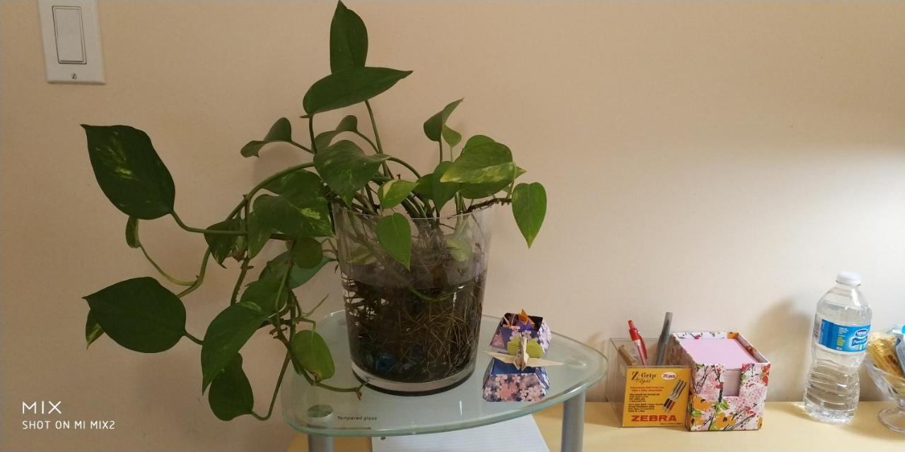 וונקובר Helen'S House / Close To Skytrain And Airport מראה חיצוני תמונה