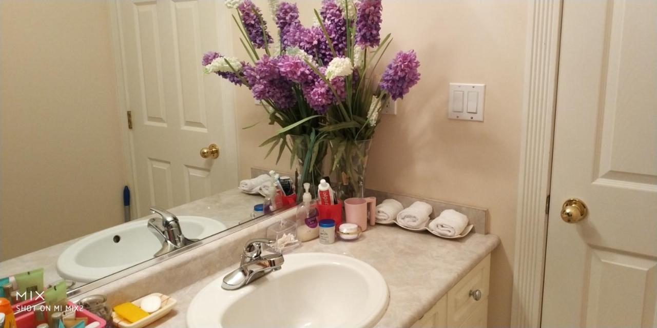 וונקובר Helen'S House / Close To Skytrain And Airport מראה חיצוני תמונה