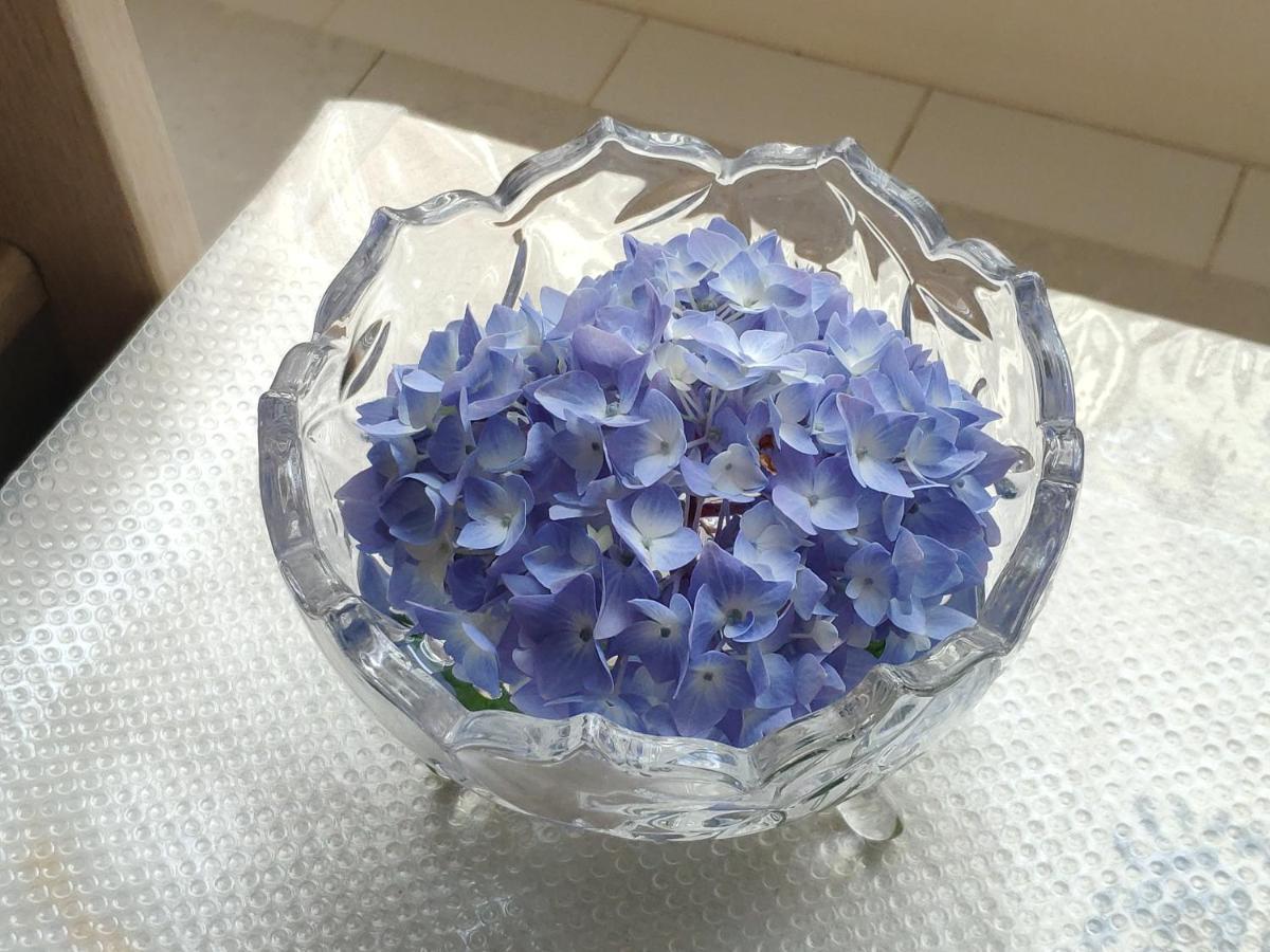 וונקובר Helen'S House / Close To Skytrain And Airport מראה חיצוני תמונה